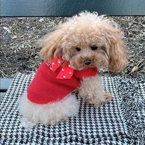 Meet your Posher, Deni